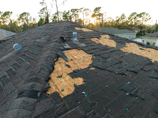 Best Solar Panel Roofing Installation  in Ayden, NC